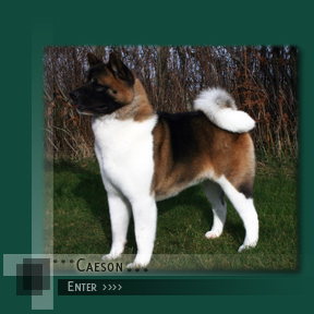 Enter Caeson's Page