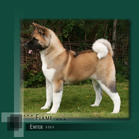 Enter Flames Page