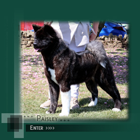 Click to enter Paisley's Page