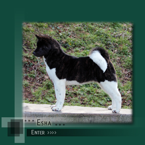 Enter Esha's Page