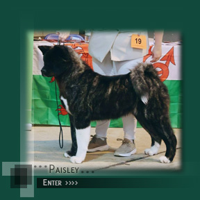 Click to enter Paisley's Page